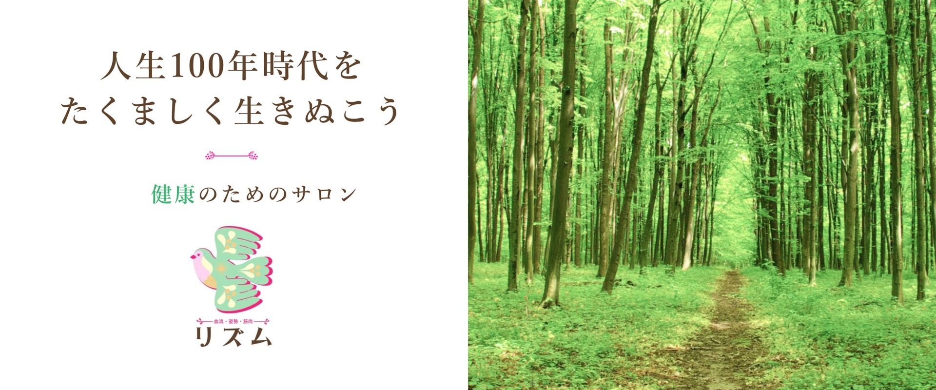 header-mv